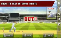Tap Cricket 2013 Screen Shot 9