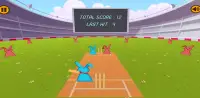 Bat Ball Cricket Screen Shot 4