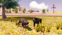 Rottweiler Dog Simulator Screen Shot 3