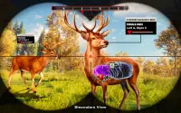 Wild Animal Deer Hunting: Animal Hunter Games Screen Shot 1