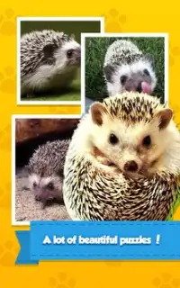 Baby Hedgehog - Jigsaw Puzzle Screen Shot 2