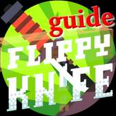 New guide for flippy knife