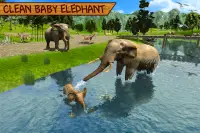 Wild Elephant Family Simulator Screen Shot 19