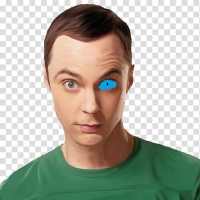 Flappy Sheldon