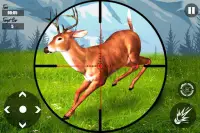 Sniper Deer Hunt:New Free Shooting Action Games Screen Shot 0