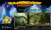 Bandicoot Adventure Subway Screen Shot 2