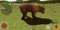 Urso caça mania Screen Shot 3