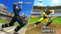 Real Cricket Championship 2019 Screen Shot 3