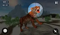 Tiger Hunting game: Zoo Animal Shooting 3D 2020 Screen Shot 3