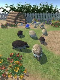 Hedgehog Friends Screen Shot 5
