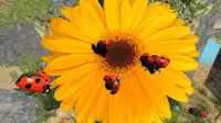 ladybug सिम्युलेटर - पशु खेल Screen Shot 5