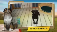 Dog Hotel プレミアム – 可愛い犬たちと遊ぼう Screen Shot 1