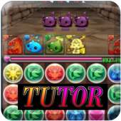 Free Puzzle & Dragons Tutorial