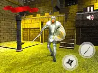 Ninja Guerrero medio tierra batalla simulador 3D Screen Shot 4