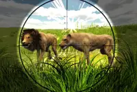 Safari Hunting: Animal Sniper Screen Shot 4