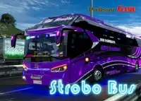 Strobo Bus 2019 Screen Shot 0