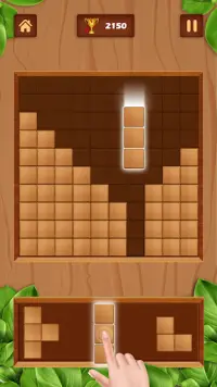 Wood Block Game : Wooden block puzzle solve Screen Shot 4