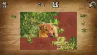 Cute Animal Jigsaw Puzzles Screen Shot 1