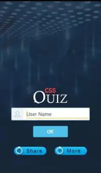 CSS Quiz Screen Shot 0