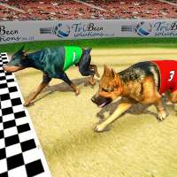 بطولة الكلب الحقيقي سباق