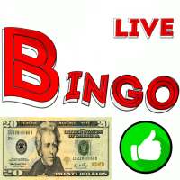 Bingo na Pieniądze 25$ depozytu Lotto dopasuj 3  