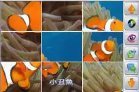 Fish Jigsaw Puzzles Screen Shot 4
