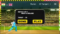 Blokstok Cricket Screen Shot 4