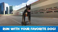 Dog Run - Pet Greyhound Dog Simulator Race 3D 2021 Screen Shot 0