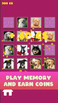 Dog - Pet Memory Game Screen Shot 1