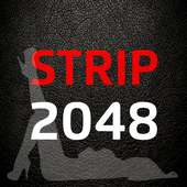 Strip 2048