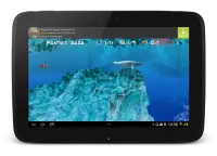Wonder Fish Jogos Grátis HD Screen Shot 21