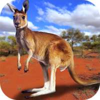 Kangaroo Aile Simülatörü - Avustralya'ya geçin!
