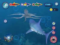 Ocean Shark Simulator – Animal Attack Simulator Screen Shot 9