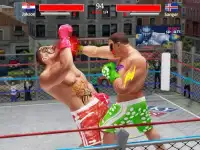 Mundo Punch Boxing Champ Screen Shot 5