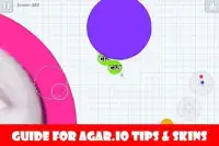 Guide for Agar.io Tips & Skins Screen Shot 0