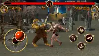 Terra Fighter - Os Jogos de Luta Screen Shot 4