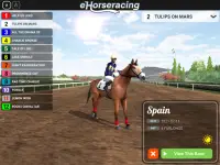 eHorseracing.com Race Viewer Screen Shot 6