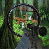 jungle hunter