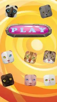 Cat Match Game Screen Shot 3