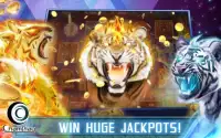 Fire Tiger Slots Screen Shot 20