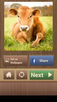Trò chơi câu đố vui động vật Screen Shot 5