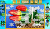 Miracle of puzzles Screen Shot 6