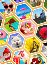 Quebra-cabeças: Jigsaw Puzzles Screen Shot 12