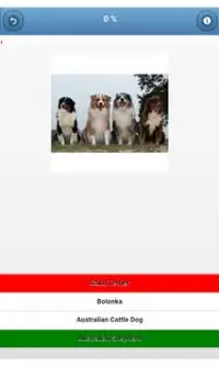 Dog breeds - quiz Screen Shot 2
