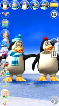 Hablar Pengu y Penga pingüino Screen Shot 6