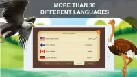 Birds Learning Flashcards Screen Shot 3