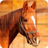 Puzzle de cavalos