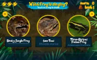 Singing Frogs Screen Shot 7