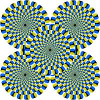 Illusion Optical Visions