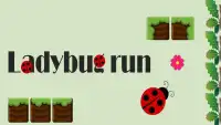 Ladybug Run 2017 Screen Shot 2